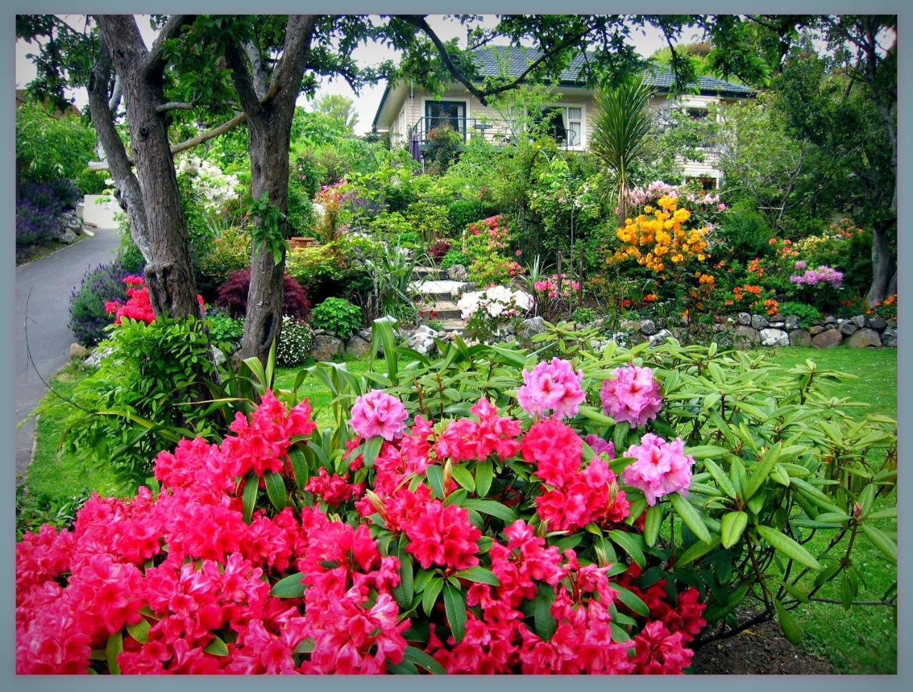 פורטובלו Mcauley Glen Boutique B&B מראה חיצוני תמונה